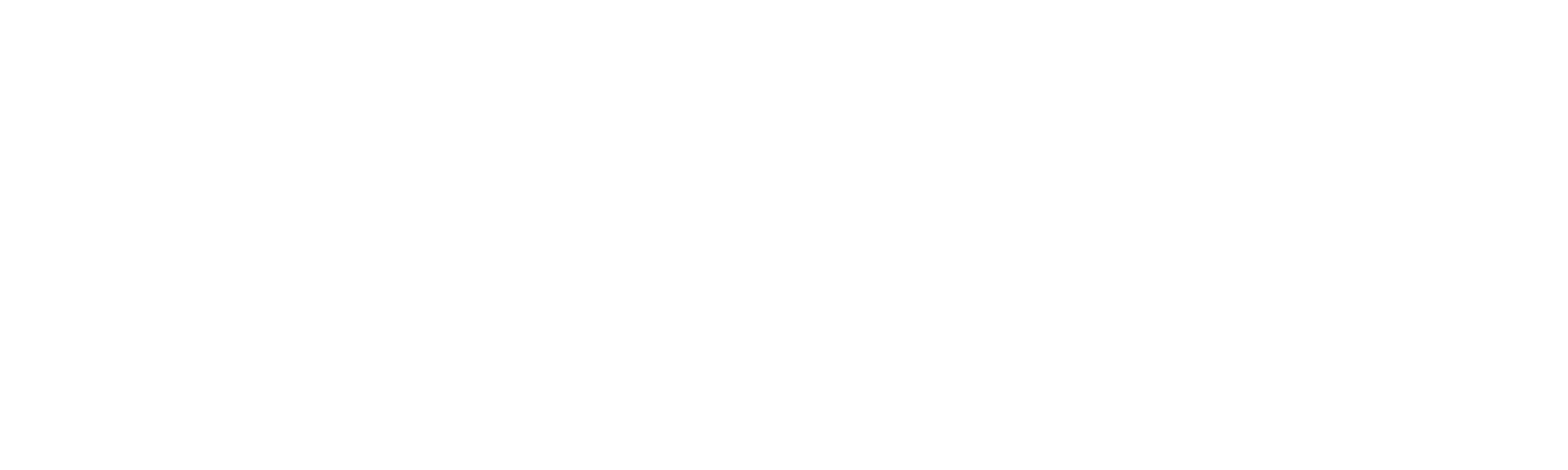 Blaque Denim Co.